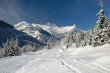_DSC7368.jpg